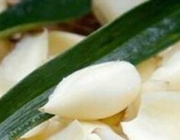 酸百合的功效与作用 酸百合的功效与作用禁忌