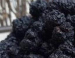 黑肾果怎么使用 黑肾果的食用方法