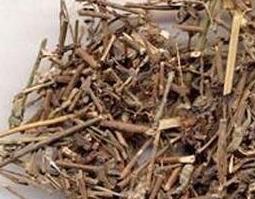 苦李根的作用与功效 苦李根生草药功效