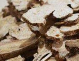 白术的功效与作用及常见用法（白术的功效与作用及常见用法禁忌）