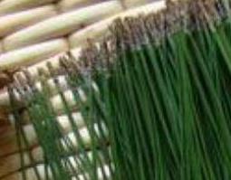 松针泡酒的功效与作用（松针泡酒的功效与作用降血压吗）