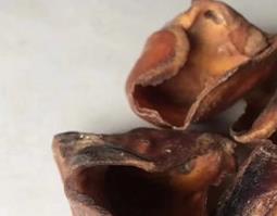 猪蹄壳的功效与作用（猪蹄壳的功效与作用是什么）