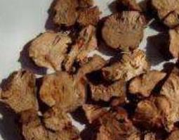 中药黑骨头的功效与作用(中药黑骨头的功效与作用及禁忌)