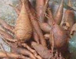 牛大力壮阳偏方（牛大力壮阳泡酒最佳配方）