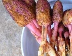 鹿心草的功效与作用 鹿心草的功效与作用图片