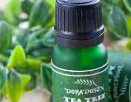 茶树精油的功效与作用及药用价值（茶树精油的成分和功效）