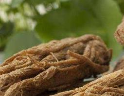 当归的功效与作用及药用价值(当归的功效与作用及药用价值及禁忌)