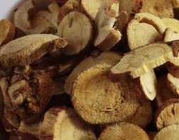 小牛力的功效与作用 牛小力有什么功效