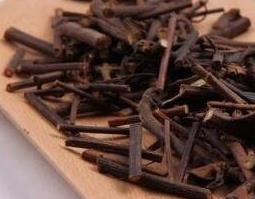 天麻钩藤的功效与作用（天麻钩藤饮的功效与作用）