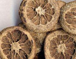 只壳的功效与作用 只壳的功效与作用用量