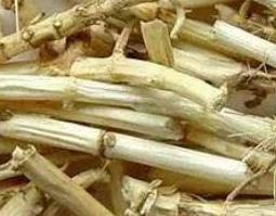 芦根的功效与作用（芦根的功效与作用图片）