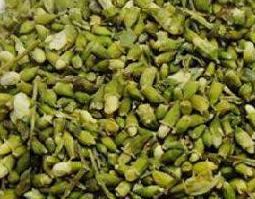 槐米的功效与作用（槐米的功效与作用的功能与主治）