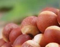 芡实的功效与作用及药用价值（芡实的功效与作用及药用价值及禁忌）