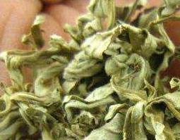 艾叶煮水喝有什么功效 艾叶煮水喝有什么功效及禁忌