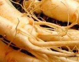 男人吃什么人参好（男人吃什么人参比较好）