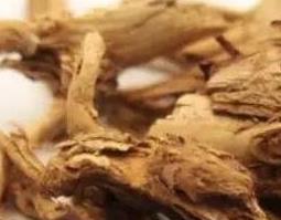 薏苡仁根的功效与作用 薏苡仁根的功效与作用图片