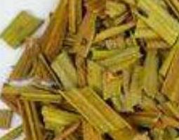 铁树叶煮水有什么用 铁树叶如何煮水