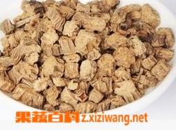 牛蒡的功效与作用（牛蒡的功效与作用禁忌）