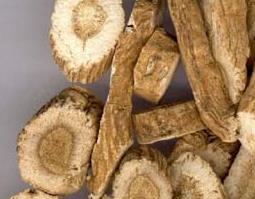 板蓝根的副作用 服用板蓝根的副作用