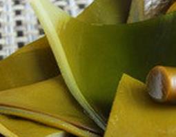 中药海带根的功效与作用（海带根有什么药用价值）