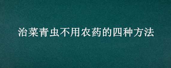 治菜青虫不用农药的四种方法（治菜青虫不用农药的四种方法是）