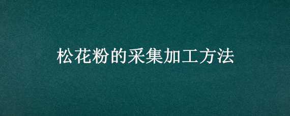 松花粉的采集加工方法 松花粉采集与加工技术