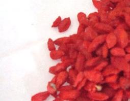 枸杞能提高性功能吗 长期吃枸杞能提高性功能吗