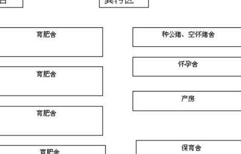 100头母猪养猪场设计图（100头母猪养猪场设计图片）