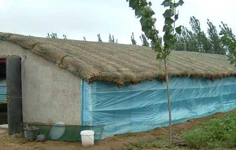 养鸡场鸡舍建设方案（养鸡场规划与建设方案）