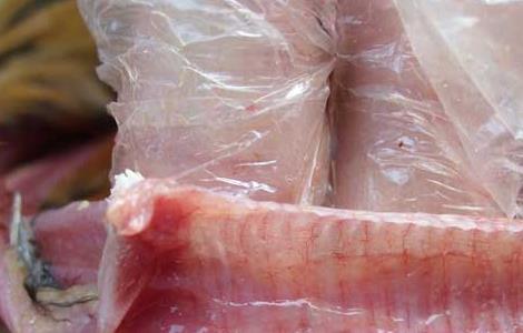 鸡传染性支气管炎的防治方法（鸡的传染性支气管炎怎么治疗）