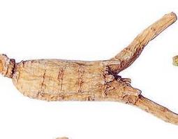 当归有哪些功效与作用 当归有哪些功效与作用