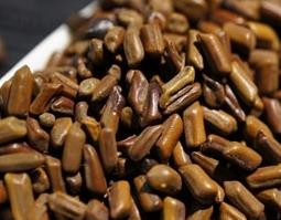 决明子泡水喝的功效和好处 决明子泡水喝的功效和好处禁忌