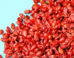 山萸肉有哪些功效与作用 山萸肉有什么功效和作用