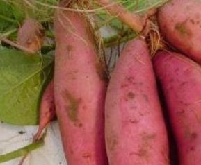 含钾高的食物有哪些（肾衰竭不能吃含钾高的食物有哪些）