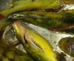 黄鸭鱼和什么相克 黄鸭鱼和什么相克不能吃