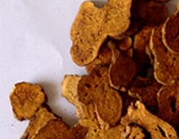 麸炒白术功效与作用(中药麸炒白术功效与作用)