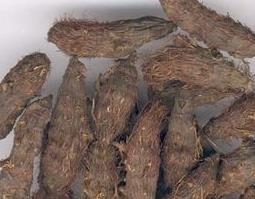 香附的功效与药用作用 香附药用功效和作用