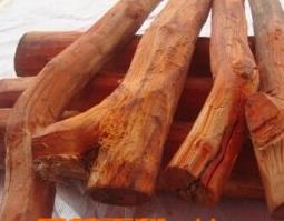 中药苏木的功效与作用（中药苏木的功效与作用及禁忌症）