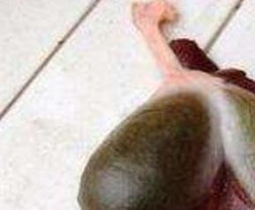 鱼胆的功效与禁忌 鱼胆的功效与作用及食用方法