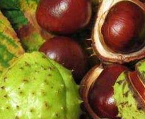 马栗红扁豆怎么吃 马栗红扁豆的吃法技巧