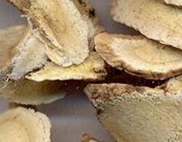 中药黄芪的功效与药用价值（中药黄芪的功效与药用价值图片）