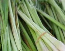 柠檬草的功效与作用（柠檬草的功效与作用是什么）