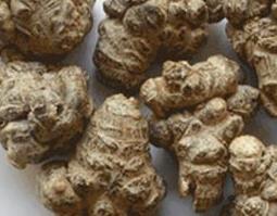 茺蔚子的功效与作用（茺蔚子的功效与作用的功能与主治）