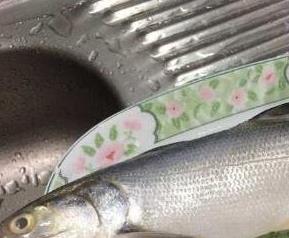 马友鱼的功效与作用