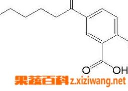 水杨酸是什么（水杨酸是什么东西）