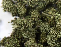 田七花的功效与作用 田七花的功效与作用及食用方法有哪些啊?