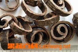 白术有哪些功效与作用