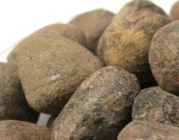 大风子的功效与作用（大风子的功效与作用点）