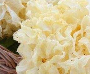 银耳的功效与作用 银耳的功效与作用价值