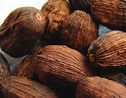 草果的功效与药用作用 草果的功效与药用作用是什么